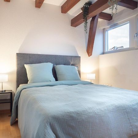 Authentic Apartment On The Alsace Wine Route Close To Cycling Trails, Easy Access, Private Garage Marlenheim Luaran gambar