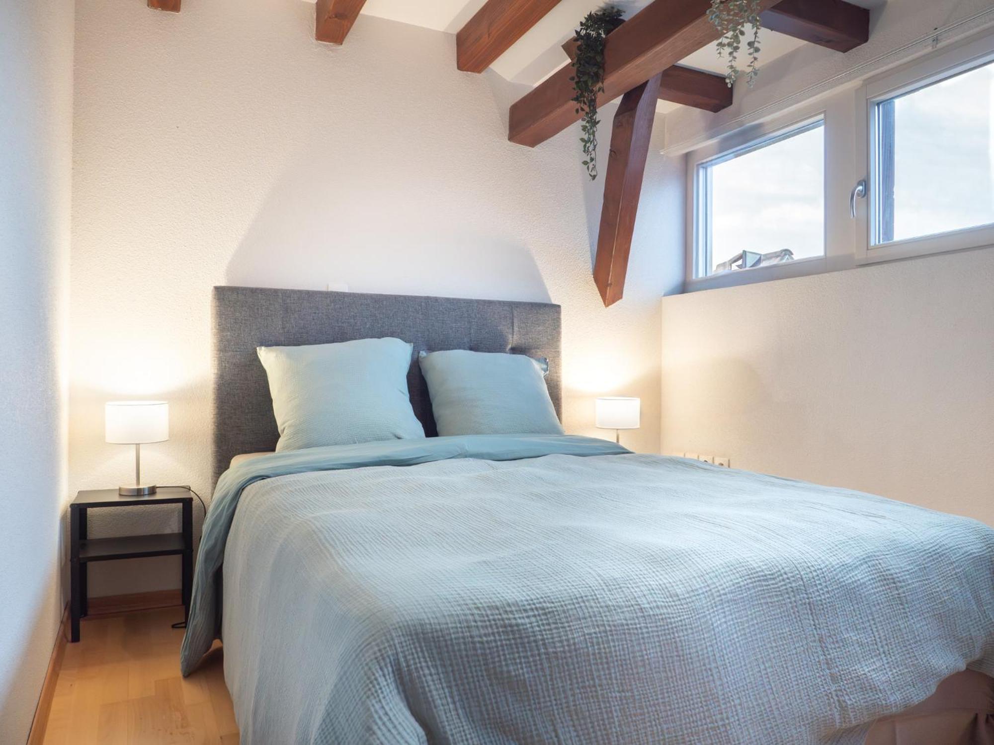 Authentic Apartment On The Alsace Wine Route Close To Cycling Trails, Easy Access, Private Garage Marlenheim Luaran gambar